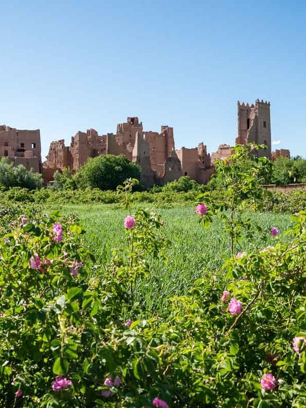 14-Day Tour from Casablanca