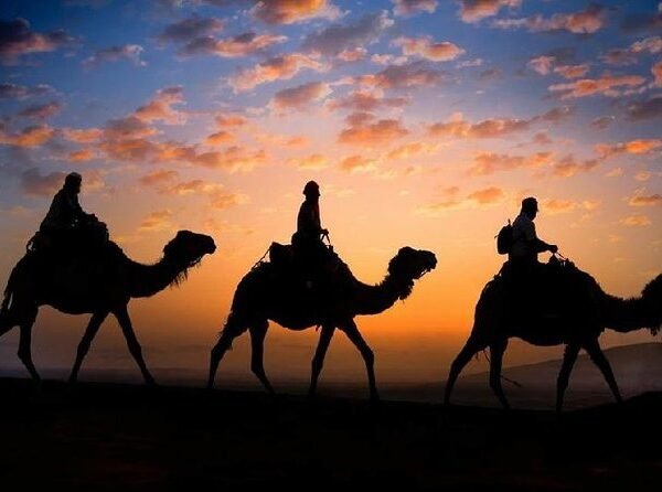 Camel Ride at Sunset in Marrakech's Palmeraie
