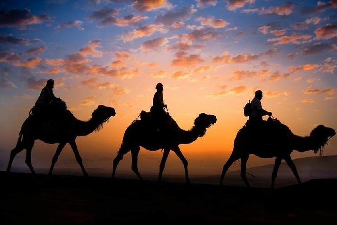 Camel Ride at Sunset in Marrakech's Palmeraie