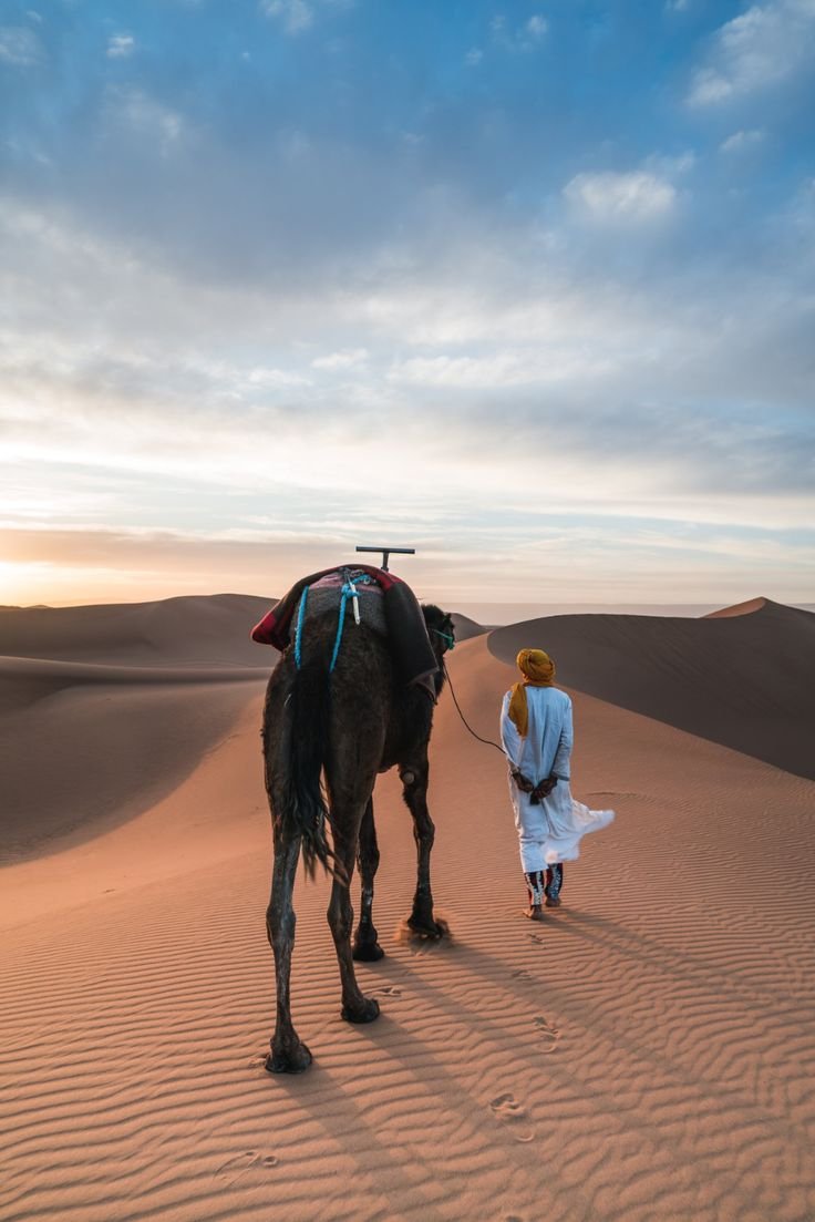 Moroccan Desert