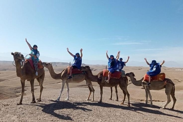 camel ride in marrakech
