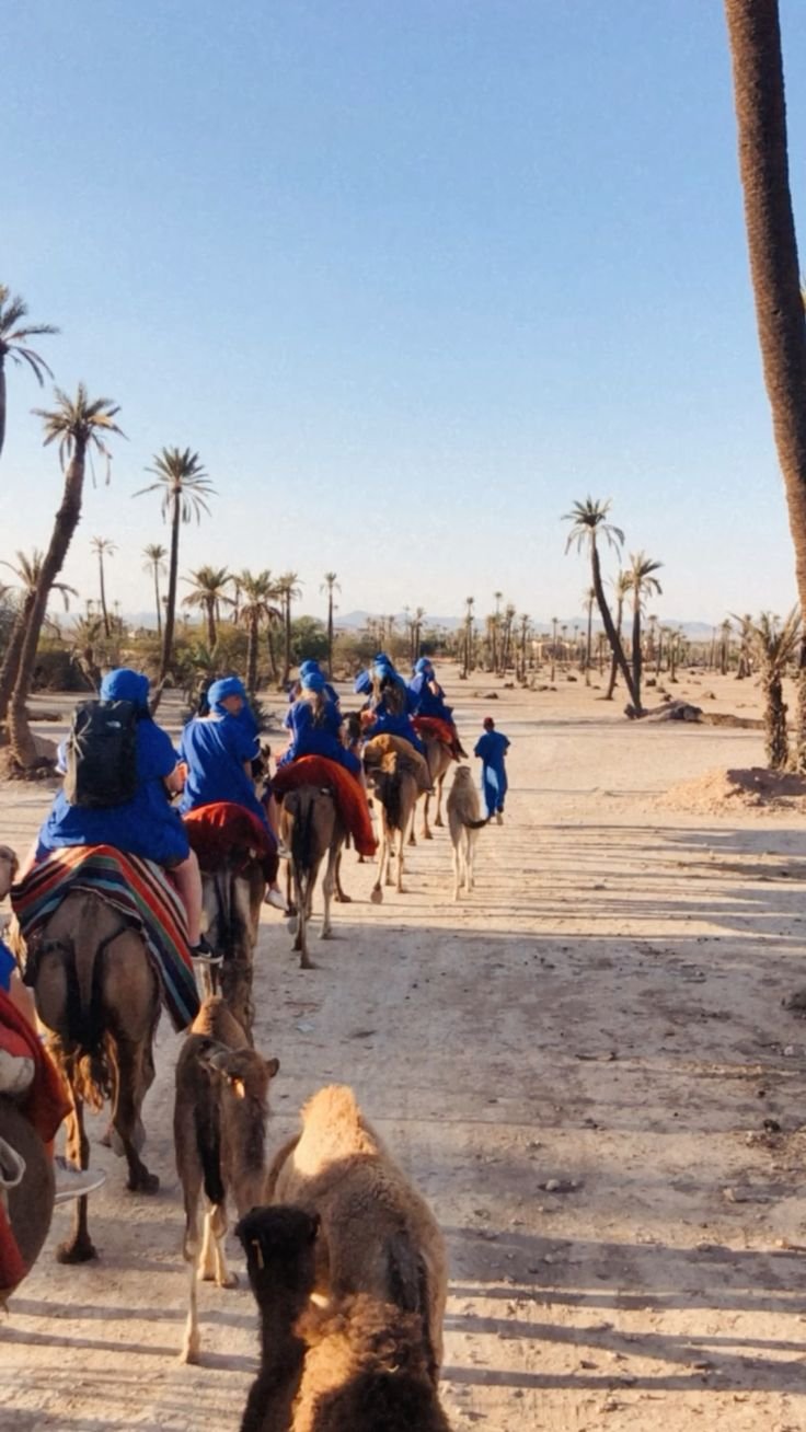 Best Time for a Camel Ride in Marrakech