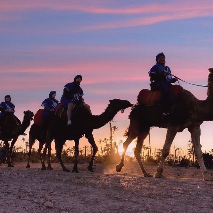 Camel Ride at Sunset in Marrakech