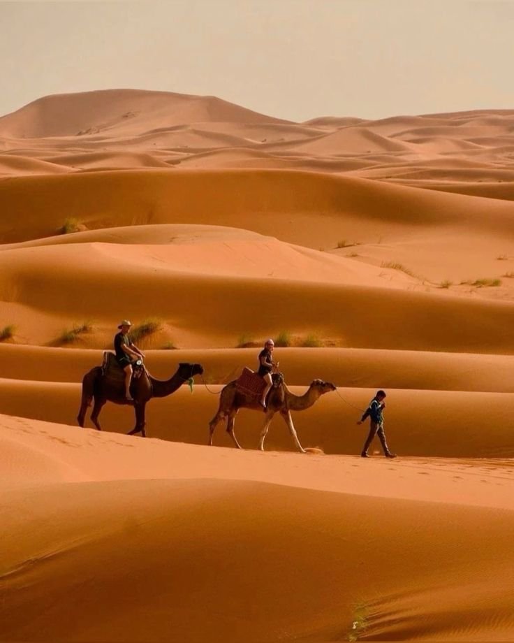 Moroccan Desert