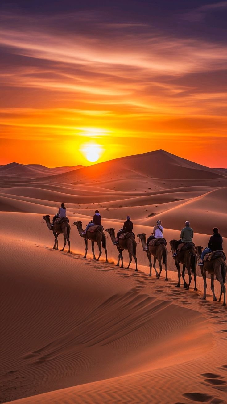 Best Time for a Camel Ride in Marrakech
