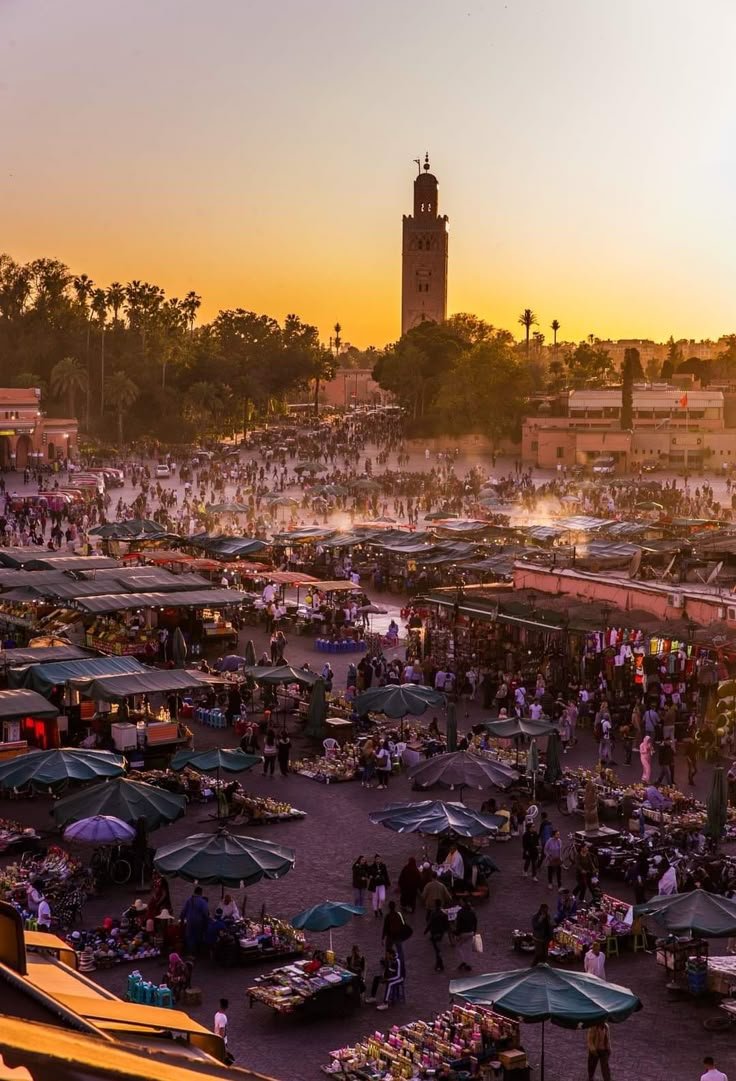 Fes to Marrakech Desert Tour