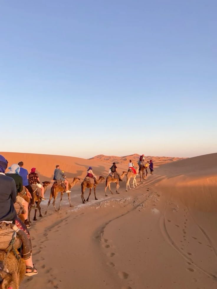Camel Ride Marrakech Prices