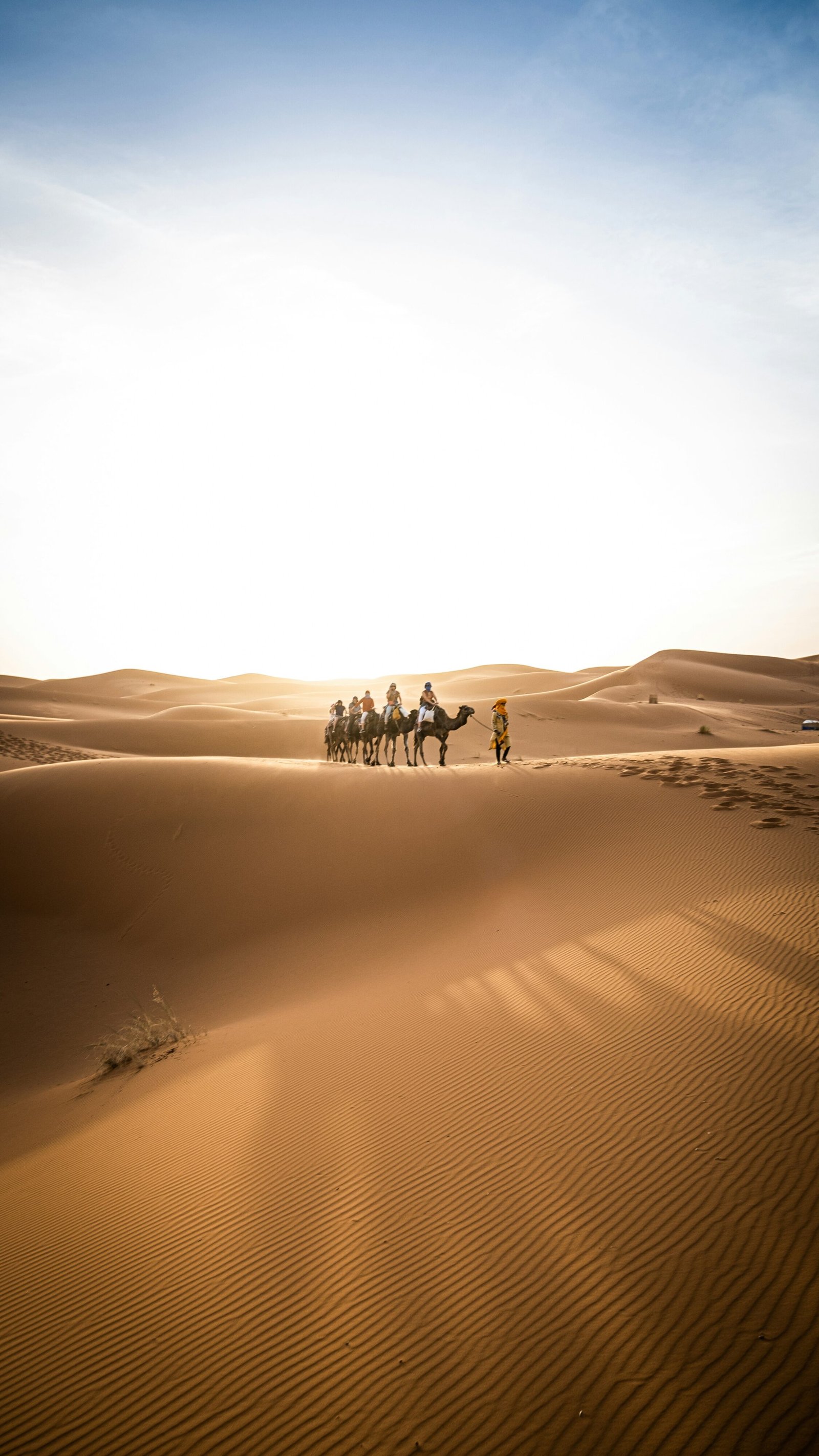 Fes to Merzouga tour