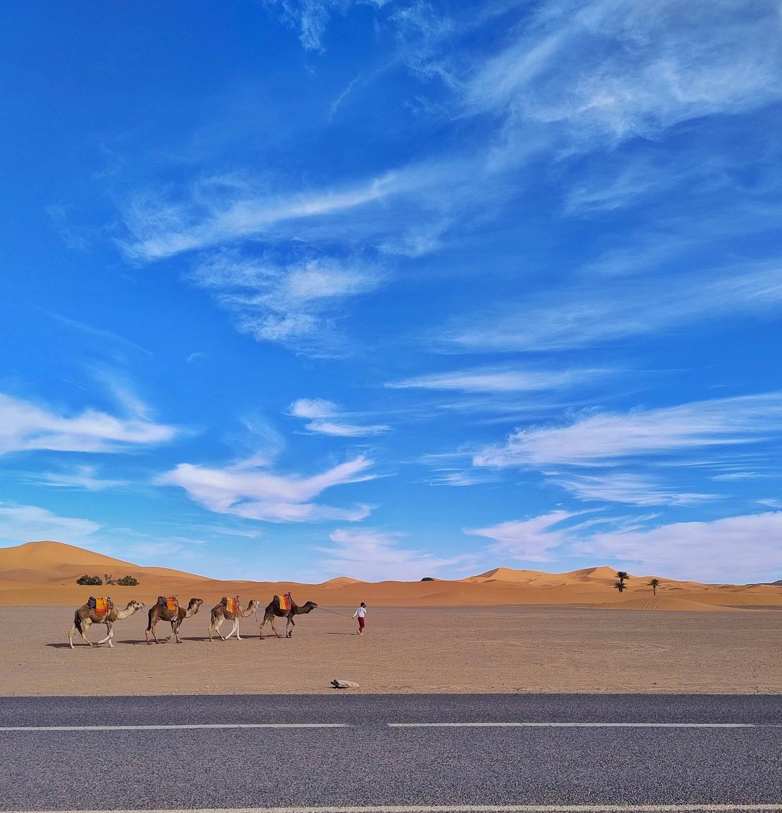 Morocco Travel Packages