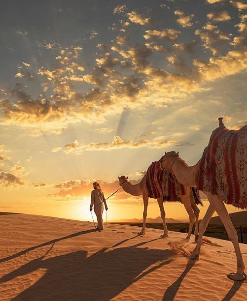 Best Time for a Camel Ride in Marrakech